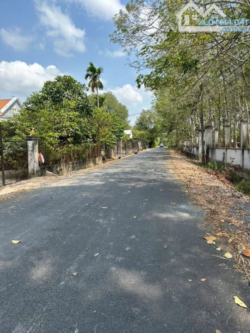 CCG SANG NHƯỢNG GẤP ĐẤT THỔ 192m2 THỊ TRẤN CỦ CHI - 2