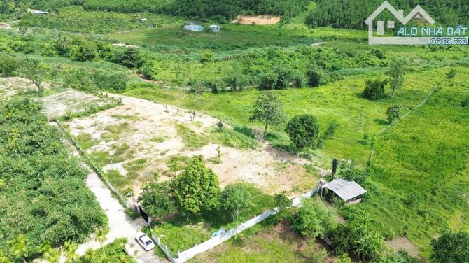 Đất xây nhà vườn hòa ninh, 319m2 có 140m2 đất ở view thoáng gần suối.