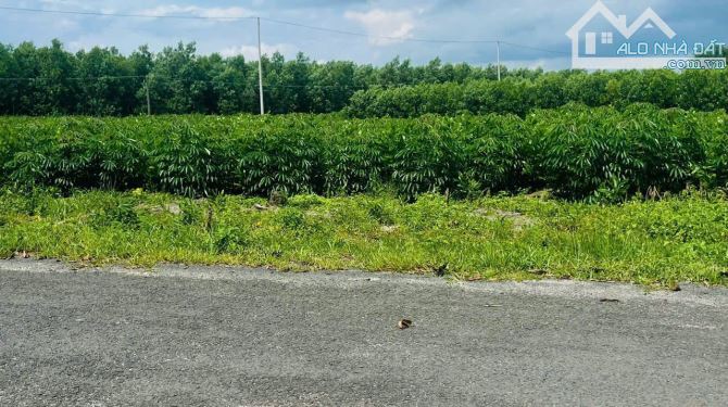 Bán Đất Mặt Tiền Đường Nhựa -Láng Dài -Xã Đất Đỏ-Thành Phố Hồ Chí Minh Ngang 21x57 - 2