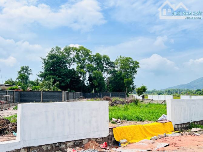 Bán lô đất gần 2000m2-205m thổ cư Xã Long Mỹ gần biển Phước Hải - Đất Đỏ- Bà rịa Vũng Tàu. - 2