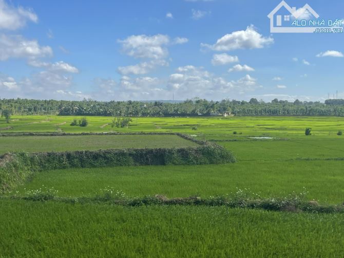 🔥🔥 HÓT NHẤT PHƯỜNG KHÁNH XUÂN 🔥🔥 LÔ ĐẤT ĐẸP - GIÁ SIÊU RẺ - 2