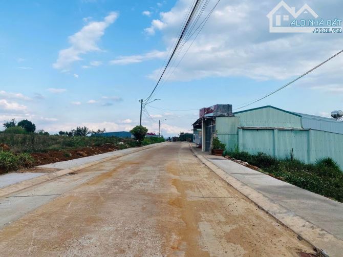 ✨ Đất View Ruộng thích hợp làm nhà vườn P. Pleiku - 2