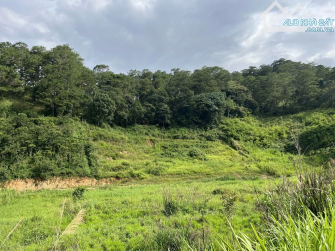 Đèo Frenn Đà Lạt - Đất view chuyển được thổ cư - Hiệp An - 1000m2 - 6 tỷ - 2
