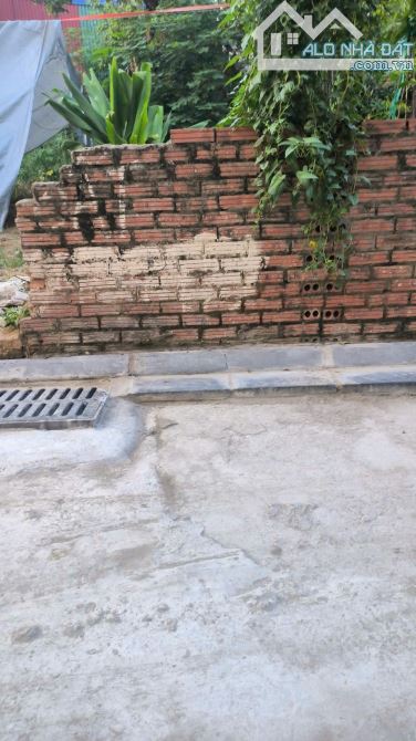 Đất Lương Quy Thư lâm 72,1m ô tô thông tránh.giá  thấp nhất khu vực - 2