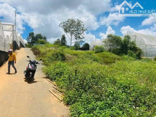 Đất Biệt thự Thái Phiên -  P12 - Đà Lạt. Gía 4,7 tỷ - 209m2 - 2