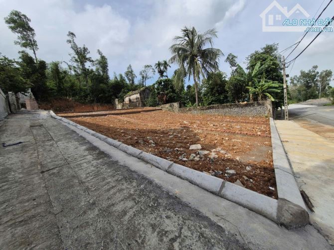 MỞ BÁN 21 LÔ F0 TẠI XÃ VIỆT KHÊ HẢI PHÒNG - 2