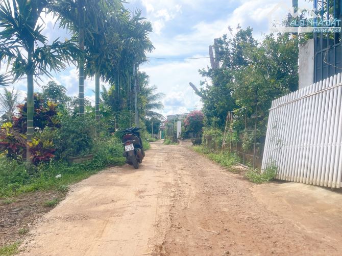 BÁN ĐẤT ĐƯỜNG LƯƠNG ANH QUANG, HẺM MẬU THÂN, P. TÂN HÒA - 2