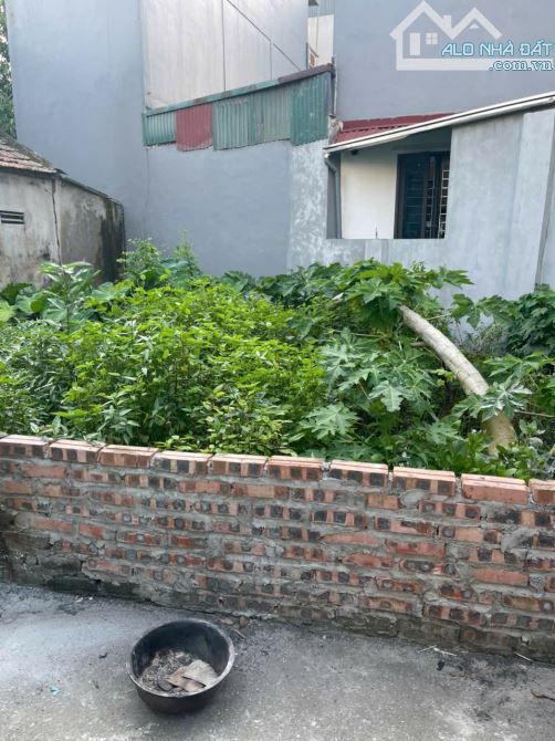 Bán đất trung tâm Đại Áng 80m giá chỉ hơn 3 tỷ - 2