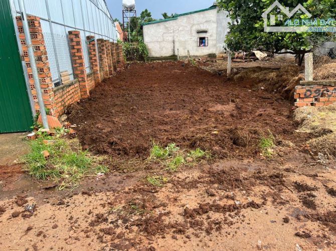 📣Bán Đất 5x25m hẻm TỐ HỮU gần Ngã 3 duy hoà, Buôn Ma Thuột chỉ 535 triệu 🚗Đường nhưa - 2
