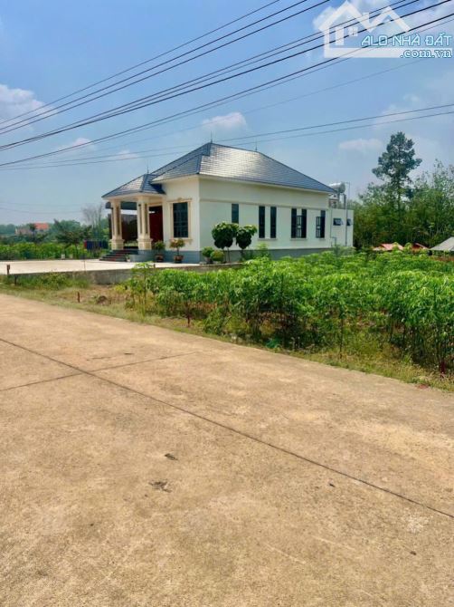 Cần tiền bán gấp 341m2 thổ cư, Ngang 10 mét, Gần Chợ, Gần Trường Học - 1
