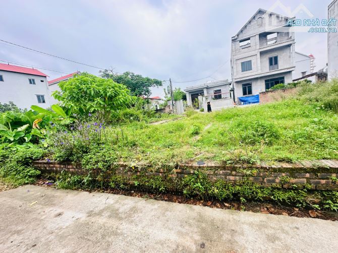 ĐẤT NGON – GIÁ MỀM – CHỐT LIỀN KHÔNG HỐI TIẾC 56m Yên Ninh 2 mặt đường - 2