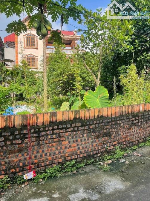 BÁN ĐẤT THANH KHƯƠNG THUẬN THÀNH ĐƯỜNG ÔTÔ VÀO ĐẤT.DT 56M,CHỈ 2X TỶ - 2