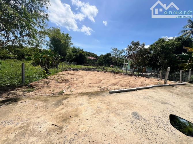 Rẻ Nhất Thị Trường. 7 Triệu 5/m2 Cam Thành Bắc. Cạnh Khu Bàn Cờ. Quy Hoạch An Toàn - 2