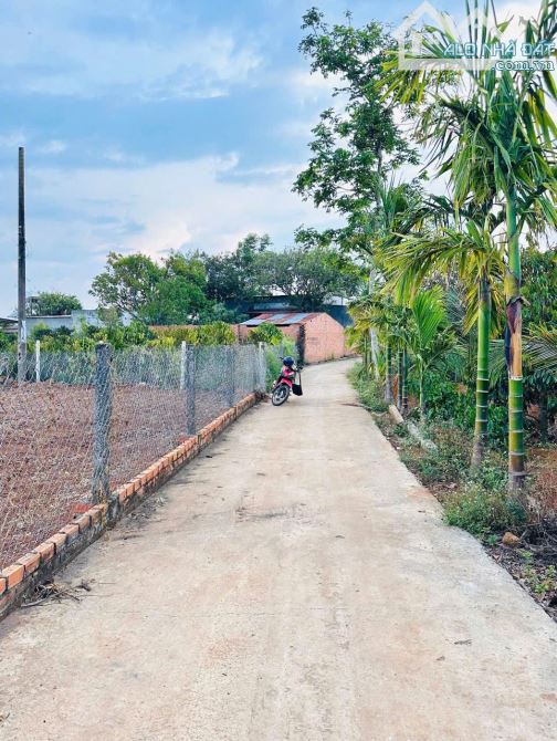 ĐẤT THÔN 4 EAKAO - SAU HỘI TRƯỜNG  l - 2