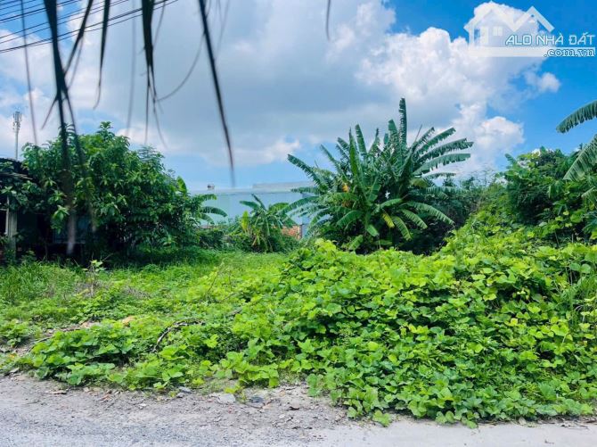 Bán lô đất đường ô tô 6m Quang Châu- trục thông, vị trí đẹp đẹp miễn bàn - 2