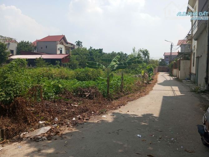 BÁN ĐẤT THUẬN THÀNH, BẮC NINH. 65M2 * MT 4,5M * 2 TỶ. Ô TÔ VÀO ĐẤT. - 2
