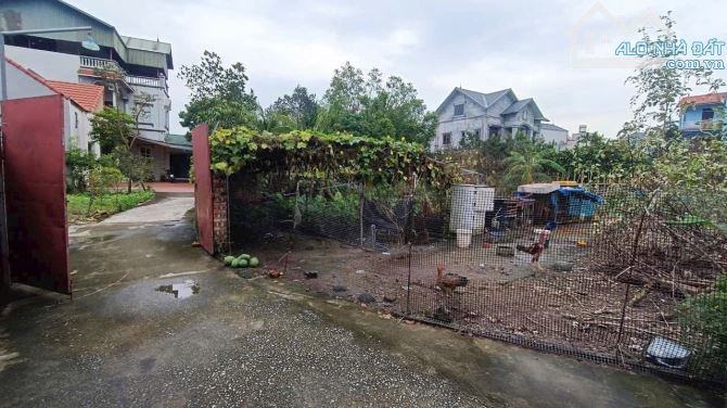 Bán đất Sen Hồ Gia Lâm 42m2 đất vuông vắng ngõ ô tô vị trí đẹp 2.7 tỷ - 2