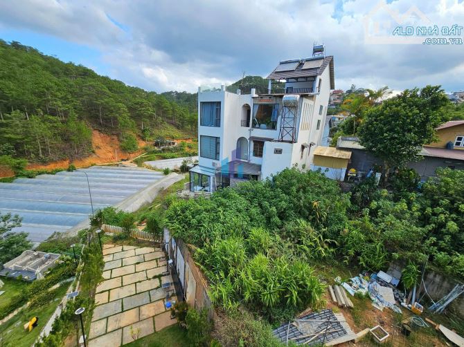 ĐẤT VIEW THÔNG XANH VĨNH VIỄN LỢI HẦM ĐƯỜNG Ô TÔ LỚN HOÀNG HOA THÁM - 2