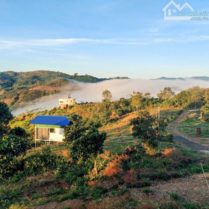 🌿 BÁN KHU NGHỈ DƯỠNG VIEW MÂY – NINH LOAN, LÂM ĐỒNG 🌿 - 2