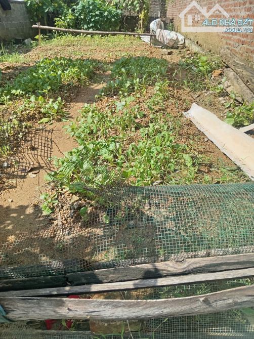 Bán 100m2 trục chính kinh doanh, Đông Yên _ Quốc Oai - 2