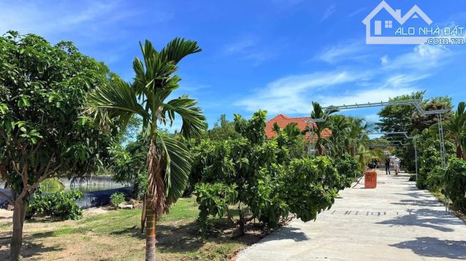 SIÊU ĐẸP - XÃ PHƯỚC HẢI -CÁCH BIỂN CHỈ 3KM-DT 1000M2 - Ngang 22m x45m -phủ hồng giá 3tyx - 2