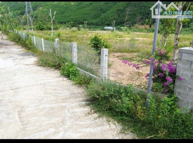 Đất xây nhà vườn hòa ninh, 319m2 có 140m2 đất ở view thoáng gần suối. - 1