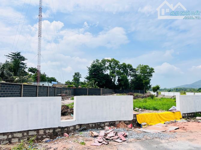 Bán lô đất gần 2000m2-205m thổ cư Xã Long Mỹ gần biển Phước Hải - Đất Đỏ- Bà rịa Vũng Tàu. - 3