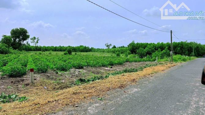 🌟 BÁN ĐẤT SIÊU RẺ – LÁNG DÀI, ĐẤT ĐỎ, BRVT 🌟 - 3