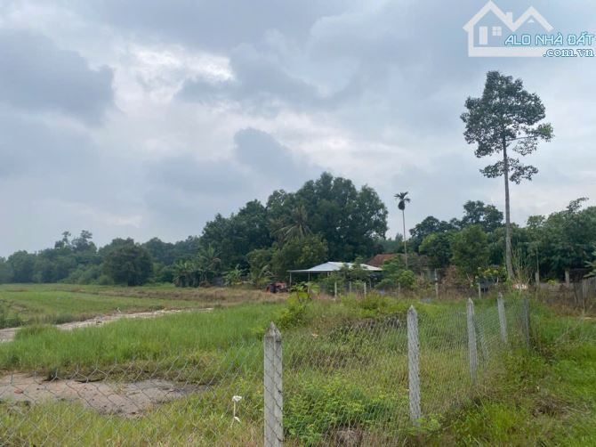 SIÊU HOT – BÁN GẤP 6.800M² ĐẤT MẶT TIỀN HỒ VĂN TẮNG – TÂN PHÚ TRUNG - 3