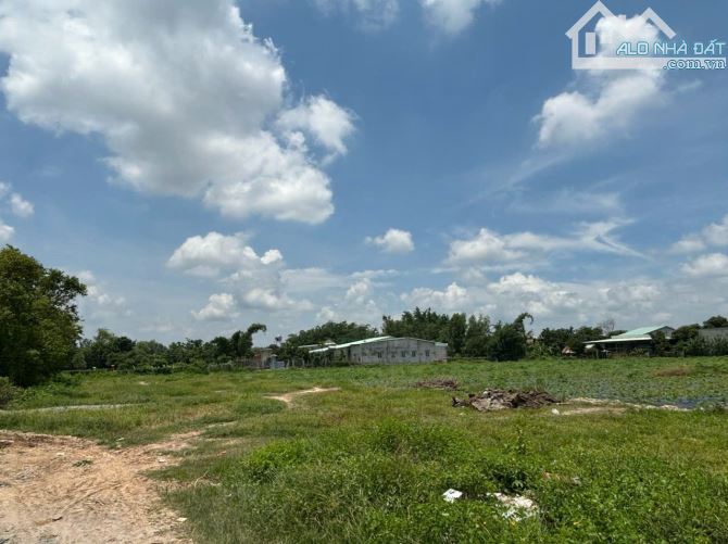 BÁN ĐẤT 2MT QUỐC LỘ 1A BẾN LỨC, ĐẤT THỔ CƯ XÂY DỰNG NGAY - 3