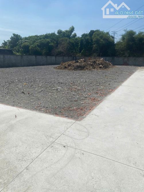 Bán Đất và  Nhà,  Kho Xưởng, dt 20 x 78 = 1561m2 có 300m2 thổ cư, Trung An, Cu Chi, TPHCM - 3