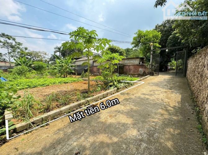 Cần thanh khoản lô đất tiềm năng gần KCN - Giá cắt lỗ cho NĐT chỉ 13,x tr/m - 3