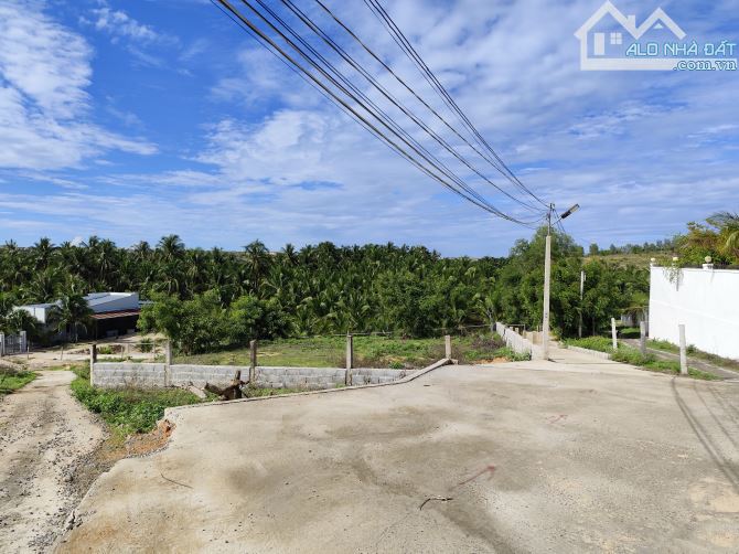 Bán 1000m2 gần ngã tư Thiện Nghiệp - 3
