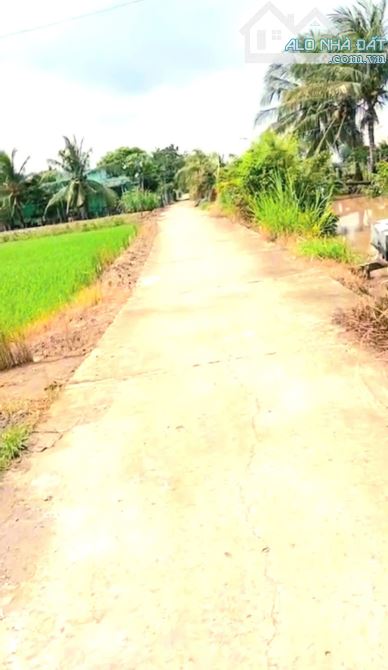 B.á.n 2 công đất vườn chỉ 950tr hết đất, mặt tiền ôtô hướng biển Rạch Bùn, Tân Điền, ĐT - 3