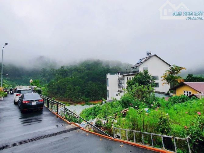 BÁN ĐẤT XÂY BIỆT THỰ VIEW RỪNG THÔNG ĐƯỜNG HOÀNG HOA THÁM - 3