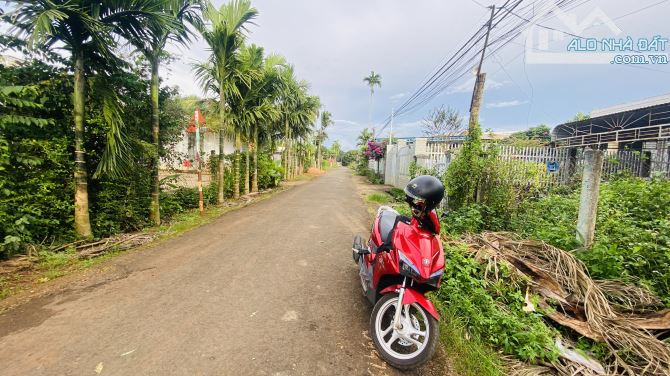 🏡 BÁN ĐẤT MẶT TIỀN 4A HÒA THUẬN – PHƯỜNG TÂN AN ĐĂK LĂK🏡 - 3