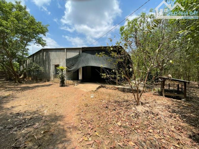 Bán lô đất gần 14000m2 tại Bình Minh, Trảng Bom, Đồng Nai, giá chỉ 10 tỷ 400. - 3