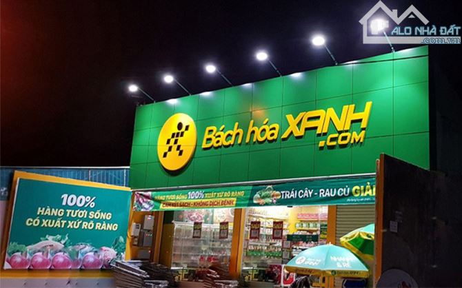 GIA ĐÌNH CHỊ SƯƠNG DẦN RA NHANH MIẾNG ĐẤT NÀY - 3