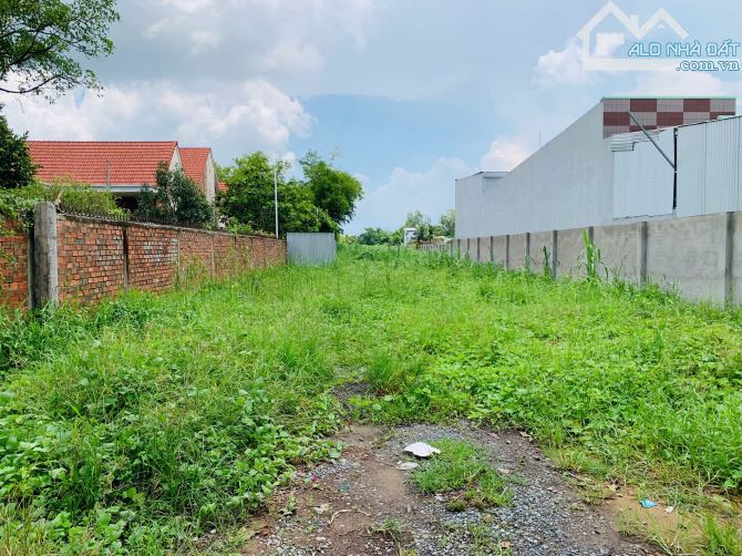 BÁN NỀN NGHỈ DƯỠNG 3.269m² HAI MẶT TIỀN ĐƯỜNG TRƯƠNG VĨNH NGUYÊN – CÁI RĂNG, CẦN THƠ - 3