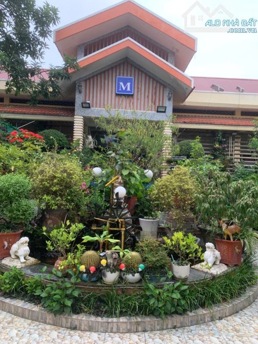 Cho thuê đất dài hạn 50 năm hoặc tìm người hợp tác đầu tư chung tại Chiềng An, Sơn La