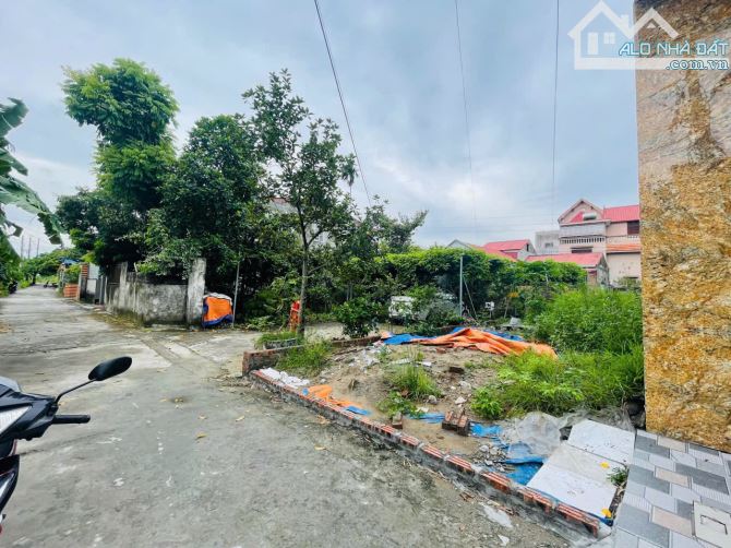 Cần bán lô đất 45,3m2 tại Cam Lộ 3, Hồng Bàng, Hải Phòng. - 3