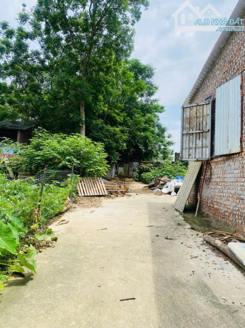 Bán lô đất khu hành chính 16, Làng Bầu, Liên Bảo, Vĩnh Yên - 3