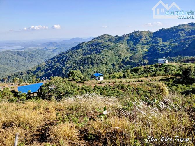 🌿 BÁN KHU NGHỈ DƯỠNG VIEW MÂY – NINH LOAN, LÂM ĐỒNG 🌿 - 3