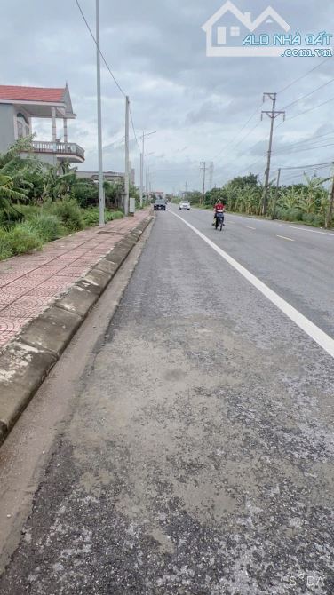 Bán đất Minh Tân - Kiến Thụy - Hải Phòng - 4