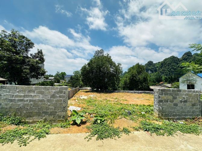 LÔ GÓC - 390m2 - TRUNG TÂM THÔN - SÁT QH ĐƯỜNG VĐ5 - GIÁ 1,x TỶ - 4