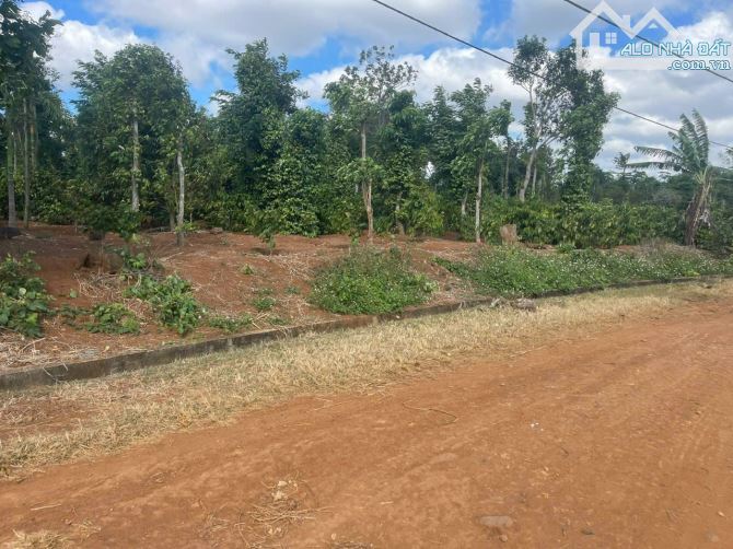 🔥🔥 HÓT NHẤT PHƯỜNG KHÁNH XUÂN 🔥🔥 LÔ ĐẤT ĐẸP - GIÁ SIÊU RẺ             🔴 VIEW CÁNH ĐỒN - 4