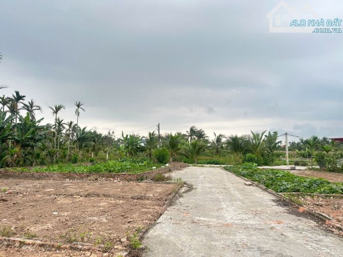 87m2 đất Lão Phong, Tân Phong, Kiến Thụy sát dự án khu thương mại, Logistic Kiến Hải - 4