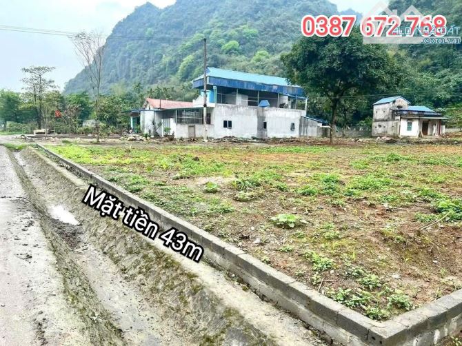 Bán lô đất Mặt đường HCM siêu rộng 43m giá chỉ hơn 8tr/m - 4