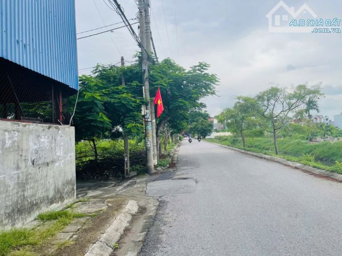 Cần bán lô đất 45,3m2 tại Cam Lộ 3, Hồng Bàng, Hải Phòng. - 4