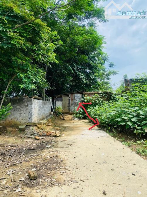 Bán lô đất khu hành chính 16, Làng Bầu, Liên Bảo, Vĩnh Yên - 4
